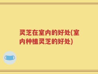 灵芝在室内的好处(室内种植灵芝的好处)