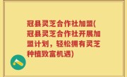 冠县灵芝合作社加盟(冠县灵芝合作社开展加盟计划，轻松拥有灵芝种植致富机遇)