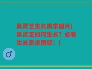 黑灵芝生长需求图片(黑灵芝如何生长？必看生长需求图解！)