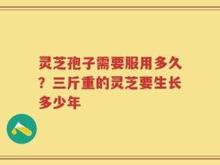 灵芝孢子需要服用多久？三斤重的灵芝要生长多少年