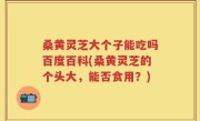 桑黄灵芝大个子能吃吗百度百科(桑黄灵芝的个头大，能否食用？)