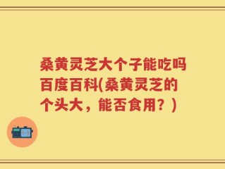 桑黄灵芝大个子能吃吗百度百科(桑黄灵芝的个头大，能否食用？)