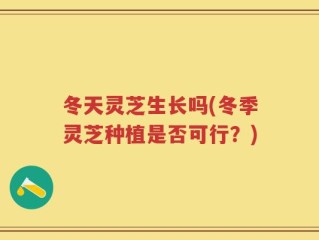 冬天灵芝生长吗(冬季灵芝种植是否可行？)