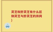 灵芝和野灵芝有什么区别灵芝与野灵芝的异同)