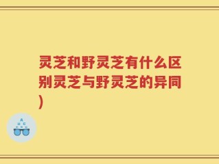灵芝和野灵芝有什么区别灵芝与野灵芝的异同)