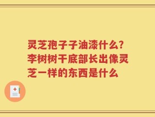 灵芝孢子子油漆什么？李树树干底部长出像灵芝一样的东西是什么