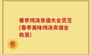 春季炖汤食谱大全灵芝(春季美味炖汤食谱全收录)