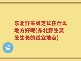 东北野生灵芝长在什么地方好呢(东北野生灵芝生长的适宜地点)