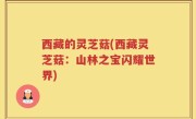 西藏的灵芝菇(西藏灵芝菇：山林之宝闪耀世界)
