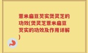 薏米扁豆芡实煲灵芝的功效(煲灵芝薏米扁豆芡实的功效及作用详解)
