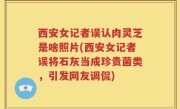 西安女记者误认肉灵芝是啥照片(西安女记者误将石灰当成珍贵菌类，引发网友调侃)