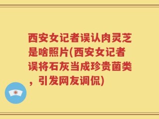 西安女记者误认肉灵芝是啥照片(西安女记者误将石灰当成珍贵菌类，引发网友调侃)