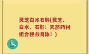 灵芝白术石斛(灵芝、白术、石斛：天然药材组合拯救身体！)