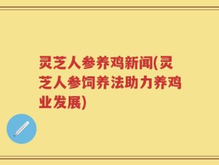 灵芝人参养鸡新闻(灵芝人参饲养法助力养鸡业发展)