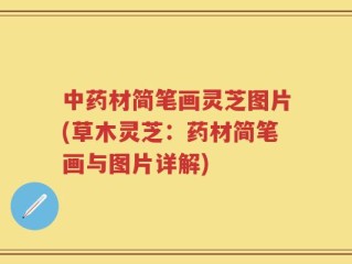 中药材简笔画灵芝图片(草木灵芝：药材简笔画与图片详解)