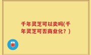 千年灵芝可以卖吗(千年灵芝可否商业化？)