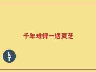 千年难得一遇灵芝