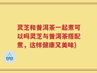 灵芝和普洱茶一起煮可以吗灵芝与普洱茶搭配煮，这样健康又美味)