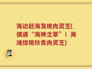 海边赶海发现肉灵芝(偶遇“海神之草”！海滩惊现珍贵肉灵芝)