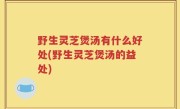 野生灵芝煲汤有什么好处(野生灵芝煲汤的益处)