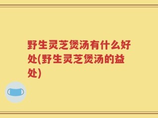 野生灵芝煲汤有什么好处(野生灵芝煲汤的益处)