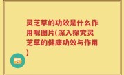 灵芝草的功效是什么作用呢图片(深入探究灵芝草的健康功效与作用)