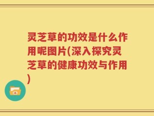 灵芝草的功效是什么作用呢图片(深入探究灵芝草的健康功效与作用)