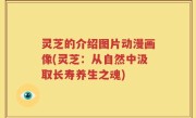 灵芝的介绍图片动漫画像(灵芝：从自然中汲取长寿养生之魂)