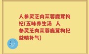 人参灵芝肉苁蓉鹿茸枸杞(五味养生汤  人参灵芝肉苁蓉鹿茸枸杞益精补气)