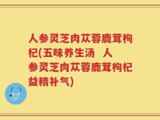 人参灵芝肉苁蓉鹿茸枸杞(五味养生汤  人参灵芝肉苁蓉鹿茸枸杞益精补气)