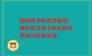 探秘孢子粉灵芝基地:揭开灵芝孢子粉的神奇奥秘与优质来源