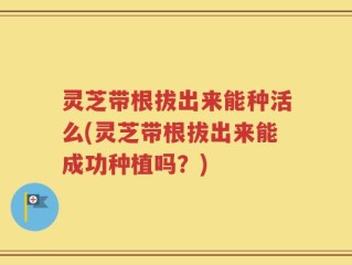 灵芝带根拔出来能种活么(灵芝带根拔出来能成功种植吗？)