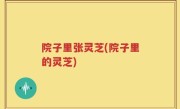 院子里张灵芝(院子里的灵芝)