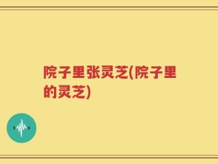 院子里张灵芝(院子里的灵芝)