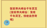 张家界大峡谷千年灵芝(张家界大峡谷：发现千年灵芝，惊艳自然奇观)
