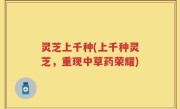灵芝上千种(上千种灵芝，重现中草药荣耀)