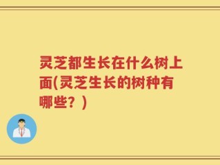 灵芝都生长在什么树上面(灵芝生长的树种有哪些？)