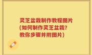 灵芝盆栽制作教程图片(如何制作灵芝盆栽？教你步骤并附图片)