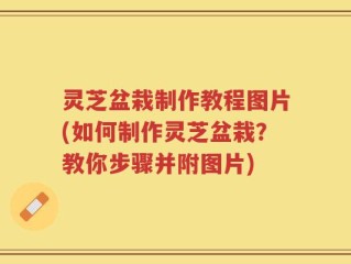 灵芝盆栽制作教程图片(如何制作灵芝盆栽？教你步骤并附图片)