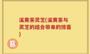 溪黄茶灵芝(溪黄茶与灵芝的结合带来的惊喜)