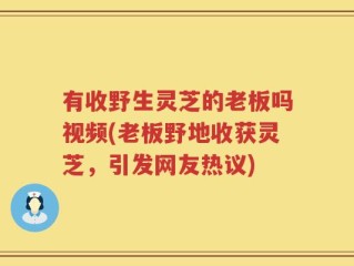 有收野生灵芝的老板吗视频(老板野地收获灵芝，引发网友热议)