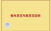 椴木灵芝与紫灵芝区别