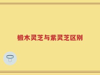 椴木灵芝与紫灵芝区别