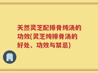 天然灵芝配排骨炖汤的功效(灵芝炖排骨汤的好处、功效与禁忌)