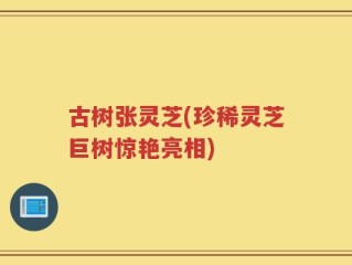 古树张灵芝(珍稀灵芝巨树惊艳亮相)