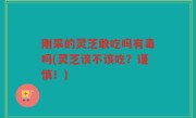 刚采的灵芝敢吃吗有毒吗(灵芝该不该吃？谨慎！)