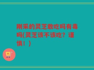刚采的灵芝敢吃吗有毒吗(灵芝该不该吃？谨慎！)