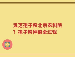 灵芝孢子粉北京农科院？孢子粉种植全过程