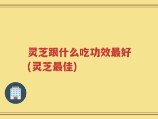 灵芝跟什么吃功效最好(灵芝最佳)