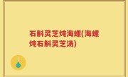 石斛灵芝炖海螺(海螺炖石斛灵芝汤)